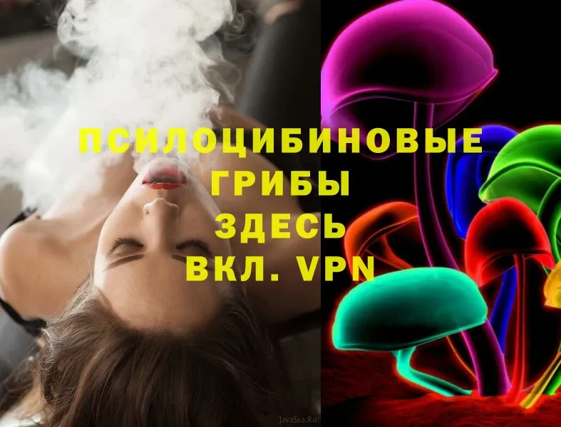 Псилоцибиновые грибы Magic Shrooms Бокситогорск